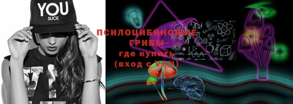 ПСИЛОЦИБИНОВЫЕ ГРИБЫ Алексеевка