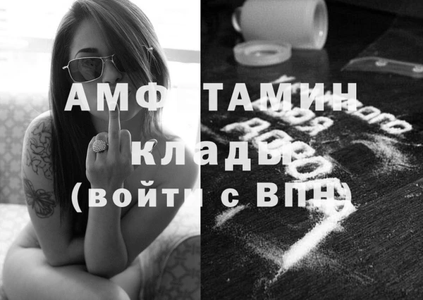 сатива Няндома