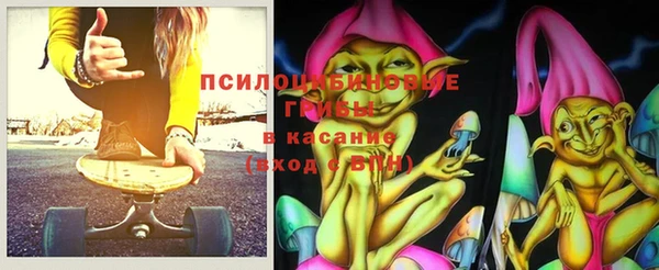 ПСИЛОЦИБИНОВЫЕ ГРИБЫ Алексеевка