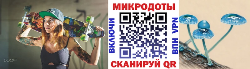 мориарти формула  Полысаево  Галлюциногенные грибы Cubensis 
